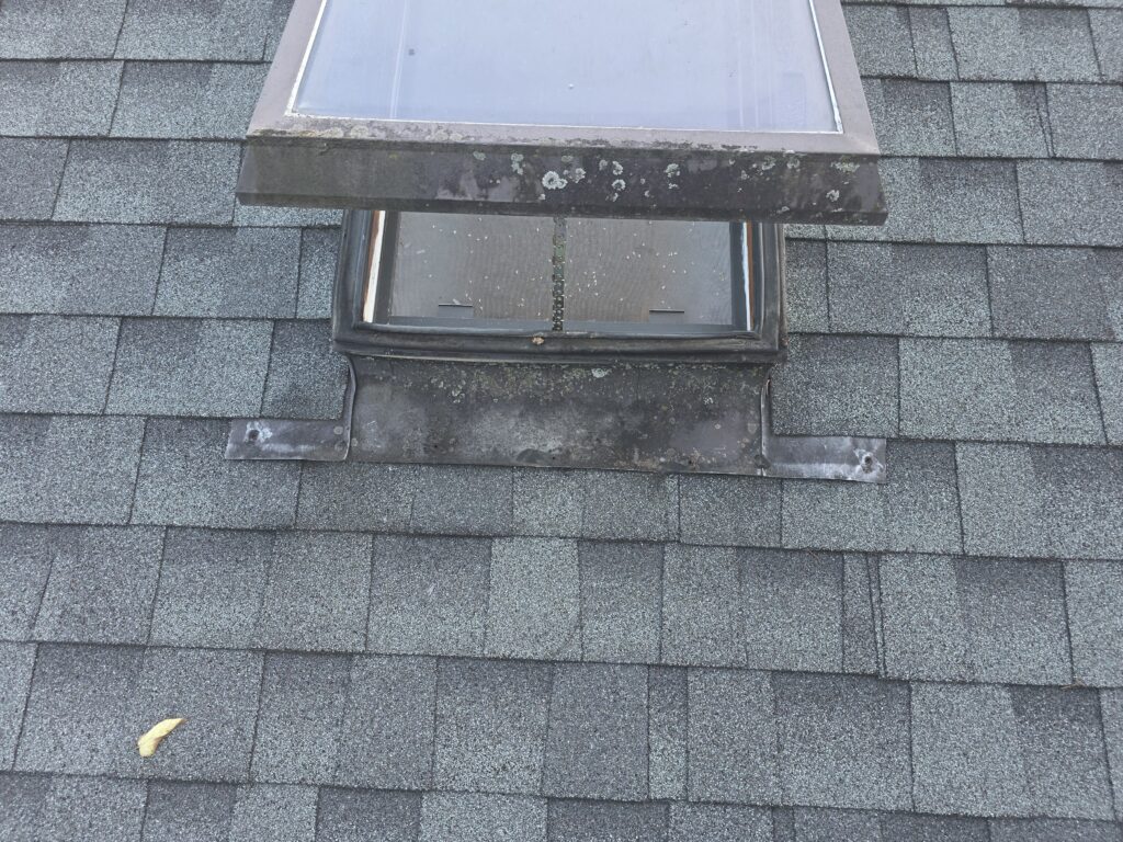 shingle roofing