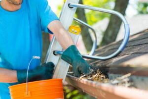 Gutter Maintenance