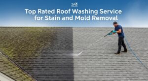 roof washing service