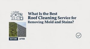 Roof cleaning tips